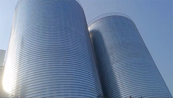 乐昌2座混凝土高架卷板仓